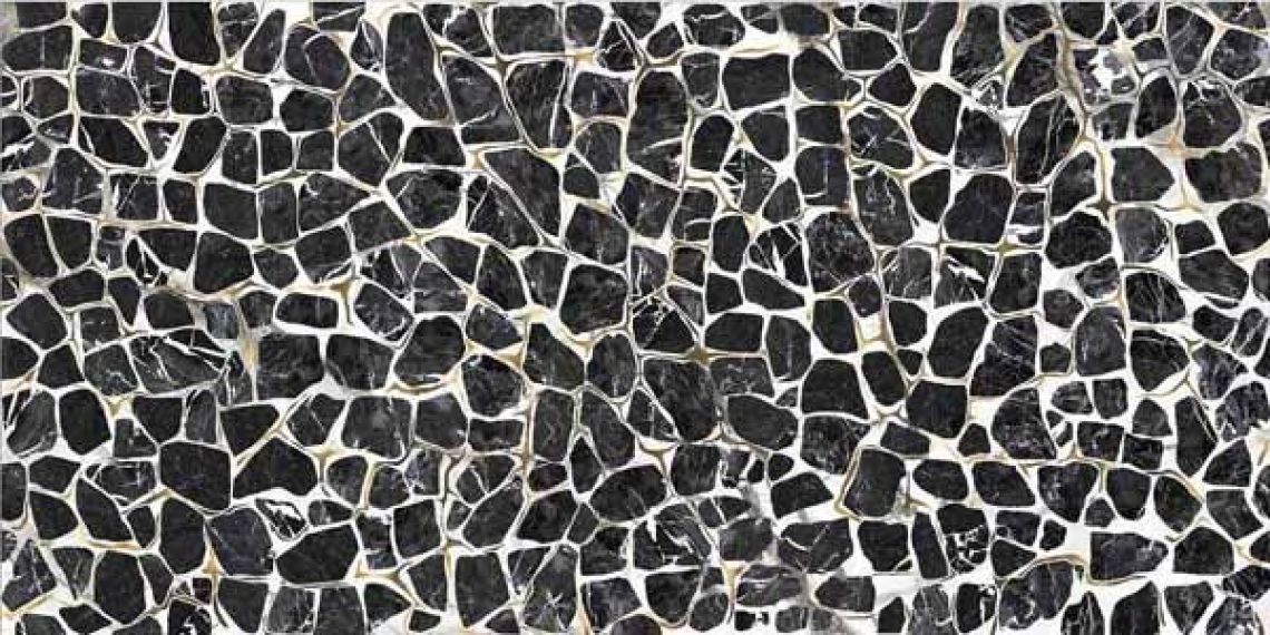 TURTLE6 260LP 120x260