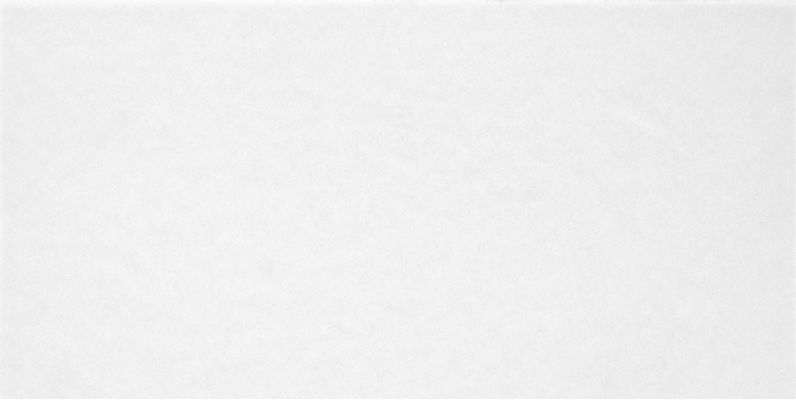 TWU09MNR020 Monocolor 249x500x8.5