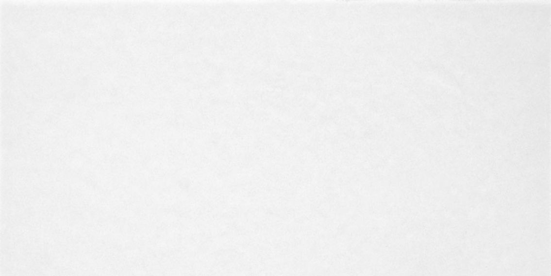 TWU09MNR020 Monocolor 249x500x8.5