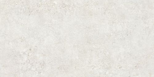 TZ612NTT9501L Terrazzo 60x120