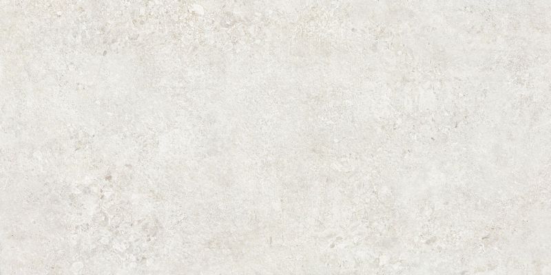 TZ612NTT9501L Terrazzo 60x120