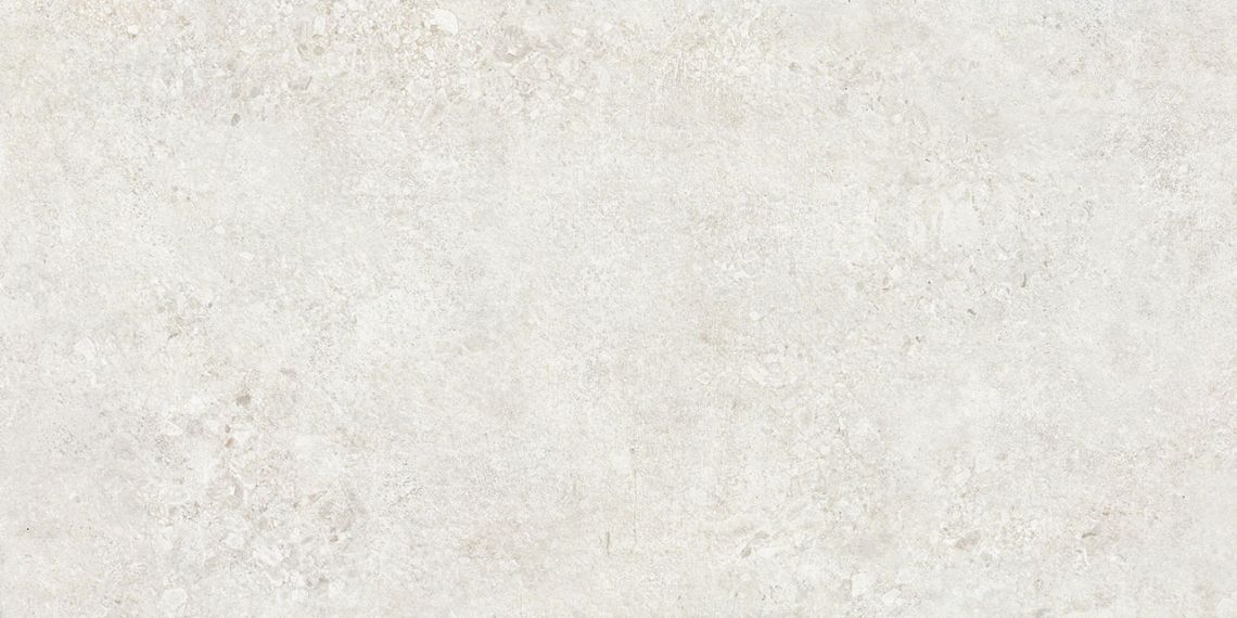 TZ612NTT9501L Terrazzo 60x120