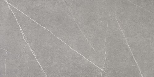 Tactile Grey 59,5x120
