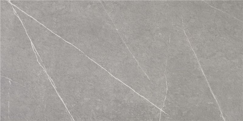 Tactile Grey 59,5x120