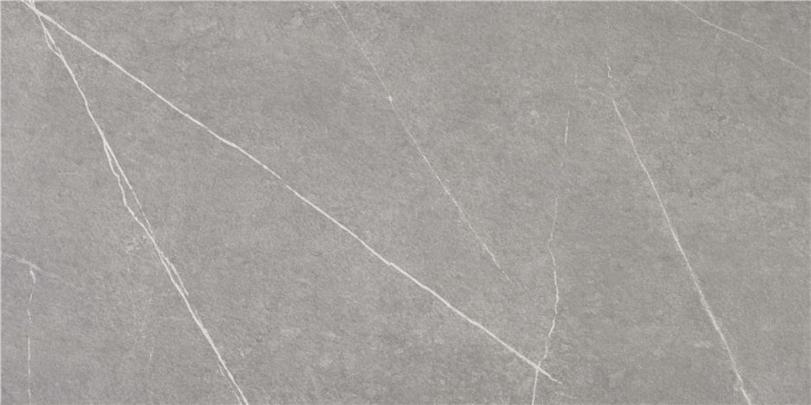 Tactile Grey 59,5x120