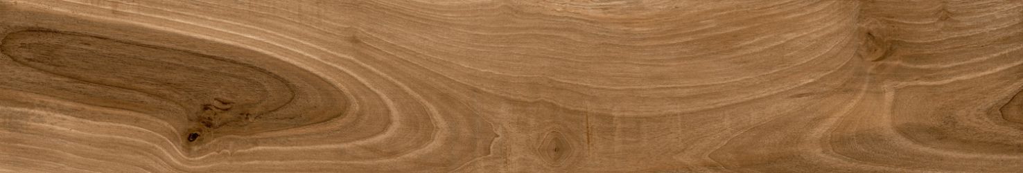 Tasmania Teak 20x120