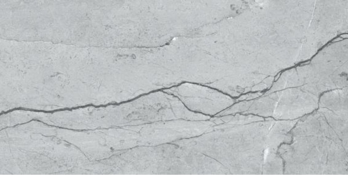 Tawny Grey Carving 60x120