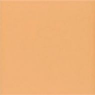 Technical Tangerine 20х20