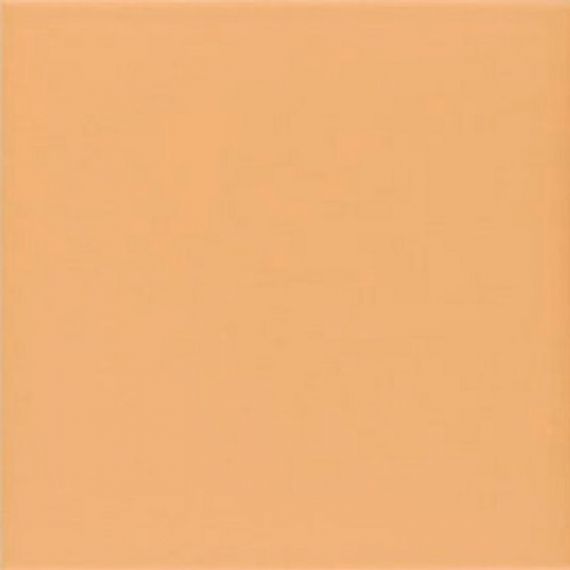 Technical Tangerine 20х20