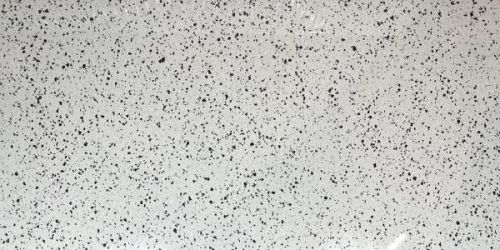 Terazzo Poiish Silver 60x120