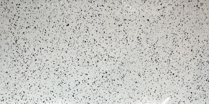 Terazzo Poiish Silver 60x120