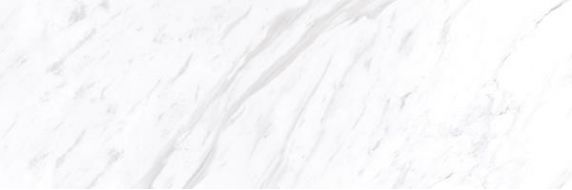 Terma белый 17-00-01-1193 20х60