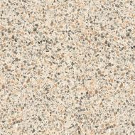 Terrazzo Beige Naturale R10 75.5x75.5