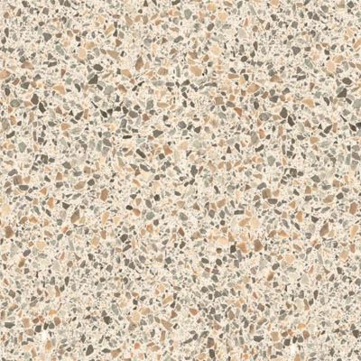 Terrazzo Beige R10 75.5x75.5