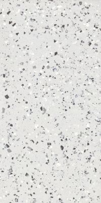 Terrazzo Plus Silver Mat 60x120