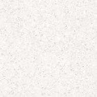 Terrazzo White R10 75.5x75.5