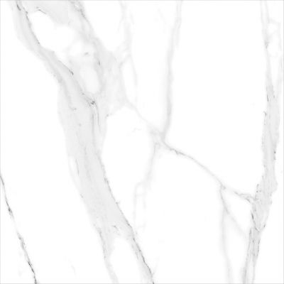 Thasos Polished 60x60