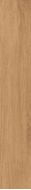 Timber Gold 19.8x120
