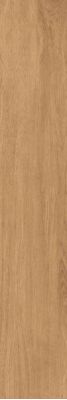 Timber Gold 19.8x120