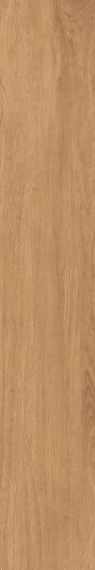Timber Gold 19.8x120