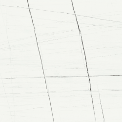 Titanium White Pulido Rect 80x80