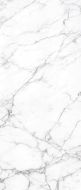 Torso Bianco Polish 120х280