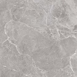 Trentino Gris 60x60