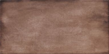 Treviso Rosso 10х20