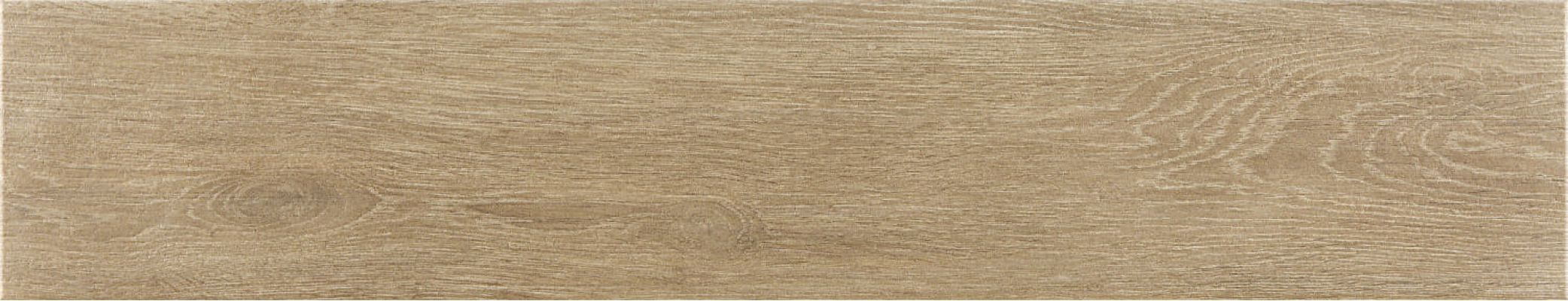 Trunk Honey 23x120