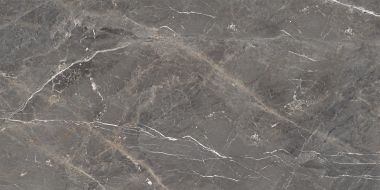 Tulip Grey Glossy 60x120