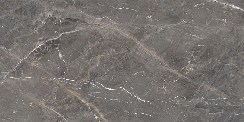 Tulip Grey Glossy 60x120