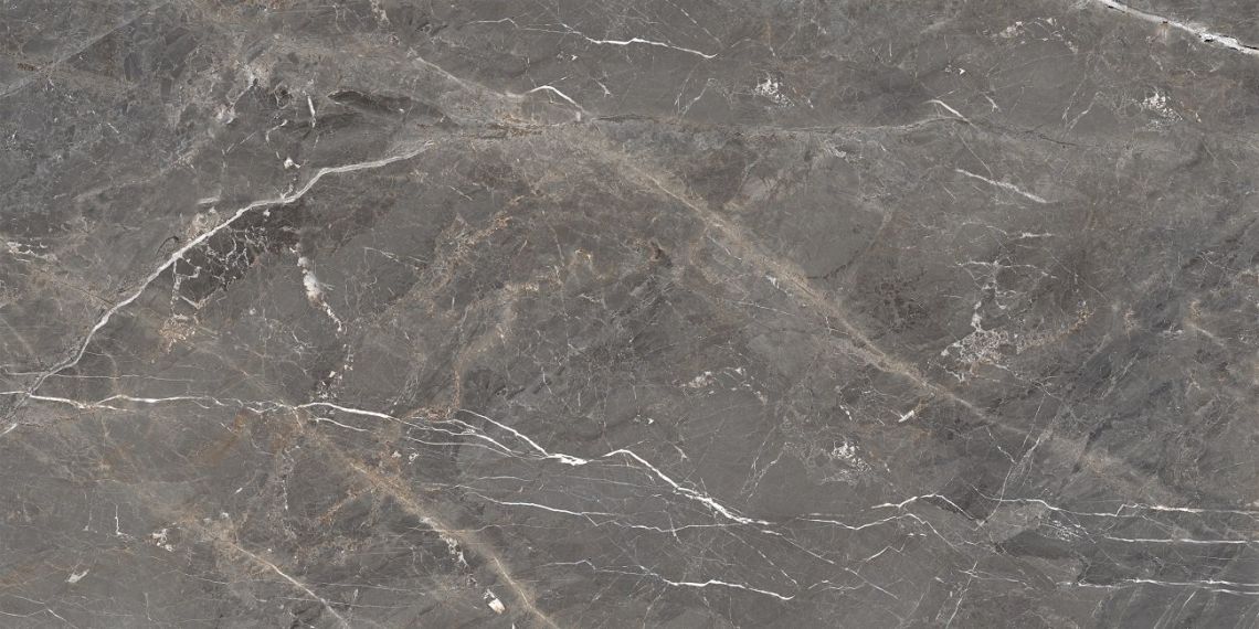 Tulip Grey Glossy 60x120