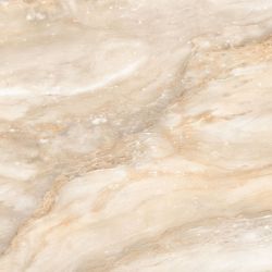 Typhoon Beige Glossy 80x80