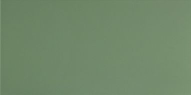 UF007 (зеленый моноколор) матовый ректифицированный 120х60