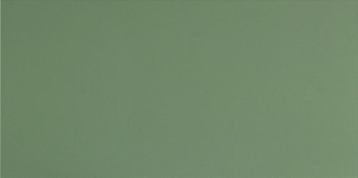 UF007 (зеленый моноколор) матовый ректифицированный 120х60