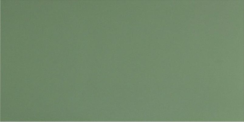UF007 (зеленый моноколор) матовый ректифицированный 120х60