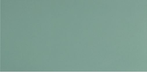 UF029 (мурена моноколор) матовый ректифицированный 120х60