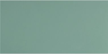UF029 (мурена моноколор) матовый ректифицированный 60х30
