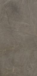 UM6L300526 Pulpis Brown Luc Shiny 300x150