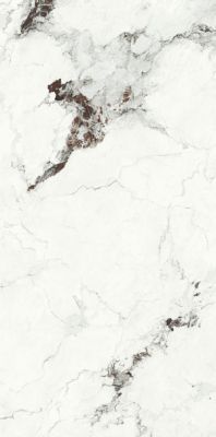 UM6L300605 Capraia Lucidato Shiny 150x300