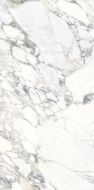 UM6S157479 ARABESCATO STATUARIO Soft 75x150