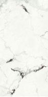 UM6SK300605 Capraia Levigato Silk 150x300