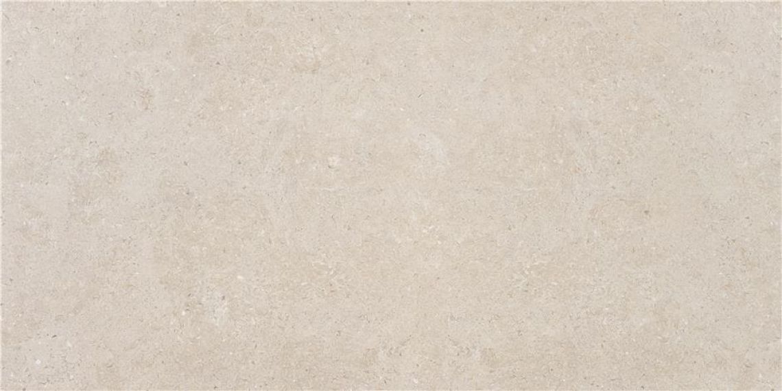 Ulisse Beige Matt 60x120