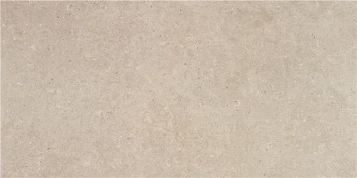 Ulisse Natural Matt 60x120