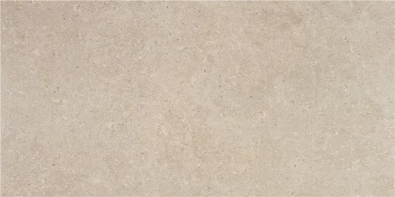 Ulisse Natural Matt 60x120