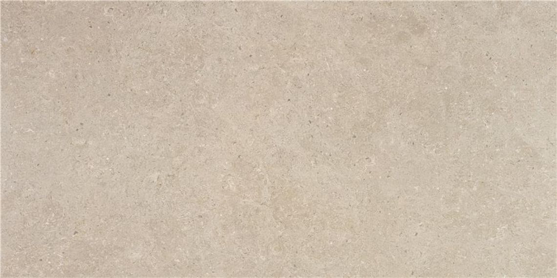 Ulisse Natural Matt 60x120