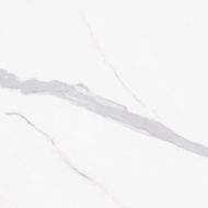 Ut. Trevi Blanco Glossy 60.8*60.8