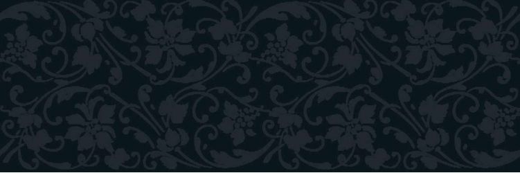 V13897681 Deco Crystal Dark 33.3x100