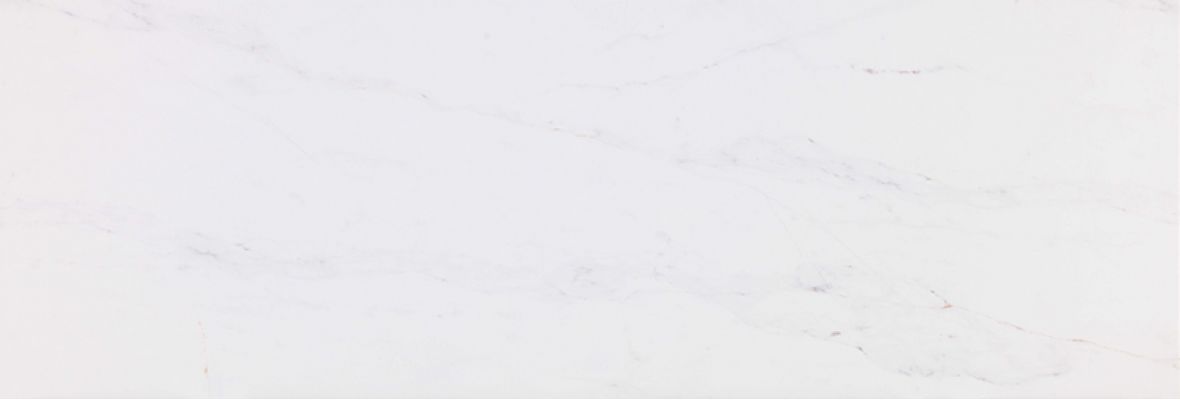 V1440314 RIVOLI MATT 33.3x100