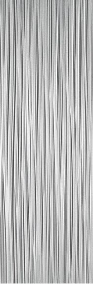 V14403171 Darwin Silver 33.3x100